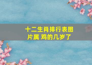 十二生肖排行表图片属 鸡的几岁了